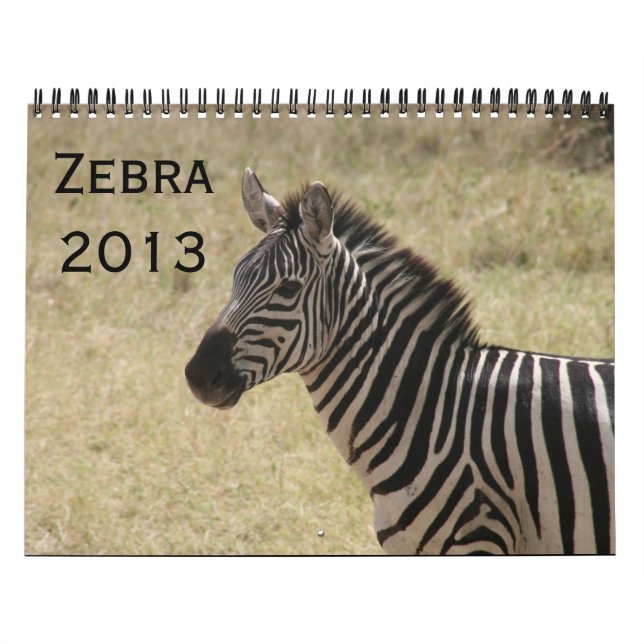 Kalender des Zebra 2013 (Titelbild)