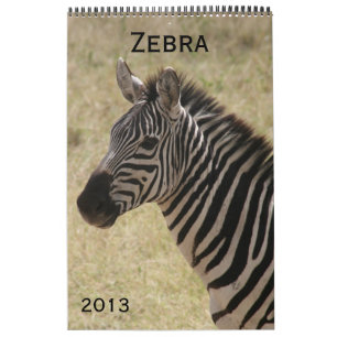 Kalender des Zebra 2013