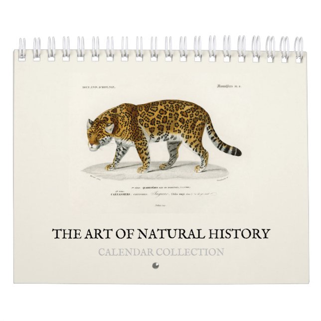 KALENDER: DIE KUNST DER NATURGESCHICHTE KALENDER (Titelbild)