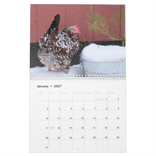 Kalender: Die Menge des Huhn-Kükens Kalender (Jan 2027)