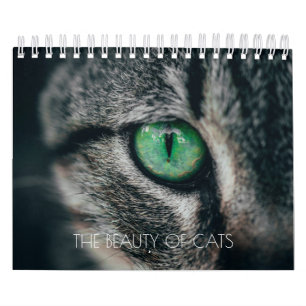 KALENDER "DIE SCHÖNHEIT DER KATZEN"