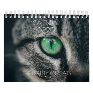 KALENDER "DIE SCHÖNHEIT DER KATZEN"