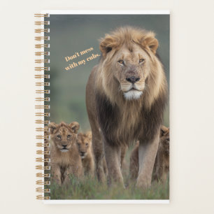 Kalender - "Don't Mess with the Cubs" Planer