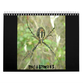 Kalender - Eek! A Spider #3