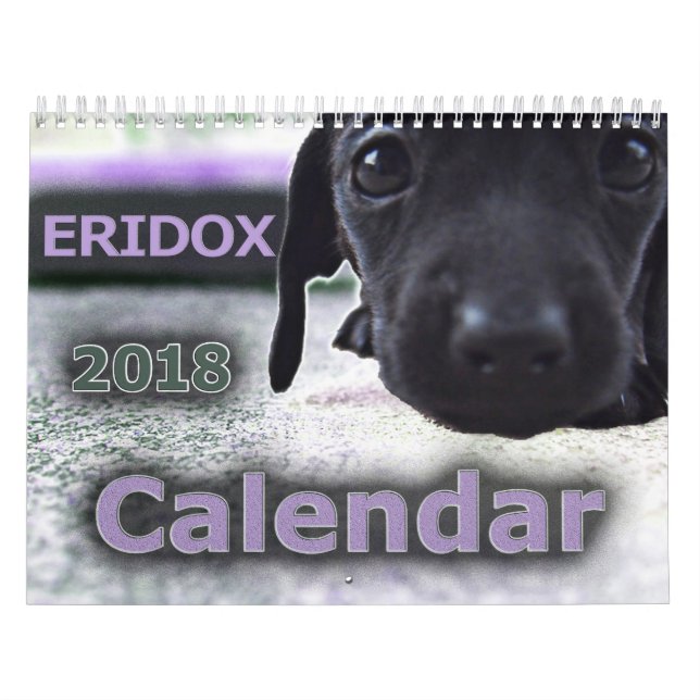 Kalender Eridox Dackel-2018 (Titelbild)
