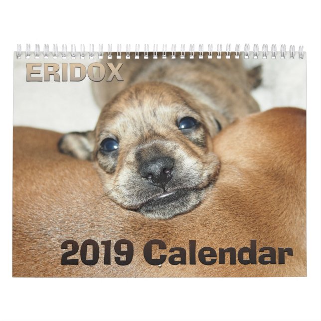 Kalender Eridox Dackel-2019 (Titelbild)