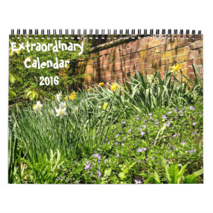 Kalender Extraordinary-2016