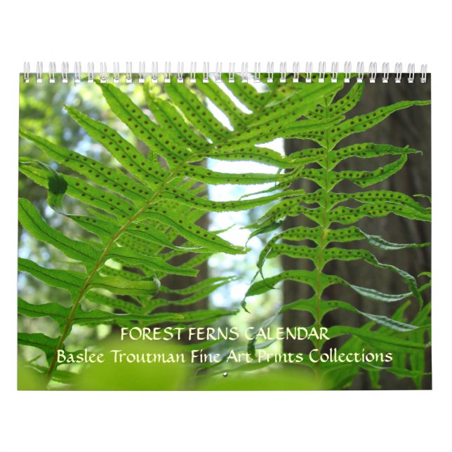 KALENDER-FARNE Kalender-Rotholz-Waldfarne Kalender (Titelbild)