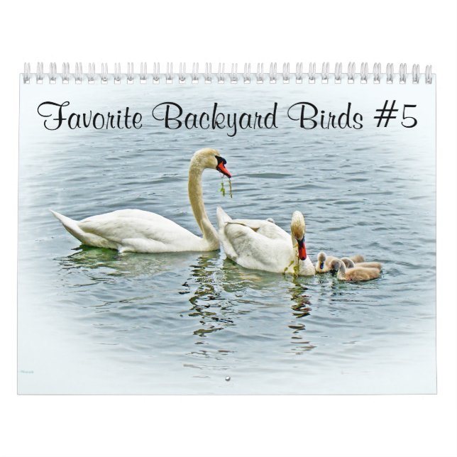 Kalender Favoritengeburten im Hinterhof #5 (Titelbild)