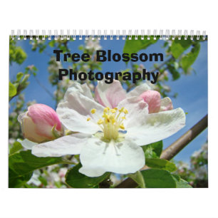 Kalender Fotografie Bäume Blüten Natur
