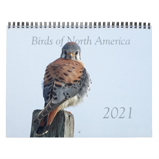 Kalender - Fotos nordamerikanischer Vögel (Titelbild)