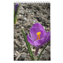 Kalender für benutzerdefinierte Fotografie