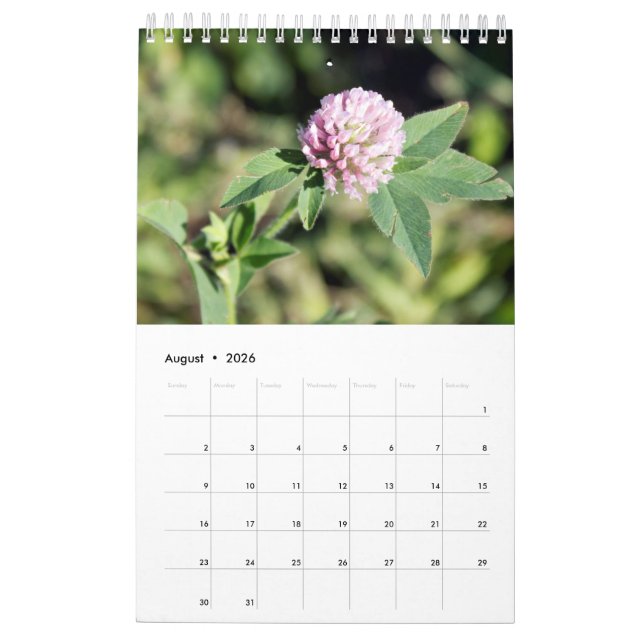 Kalender für benutzerdefinierte Fotografie (Aug 2026)
