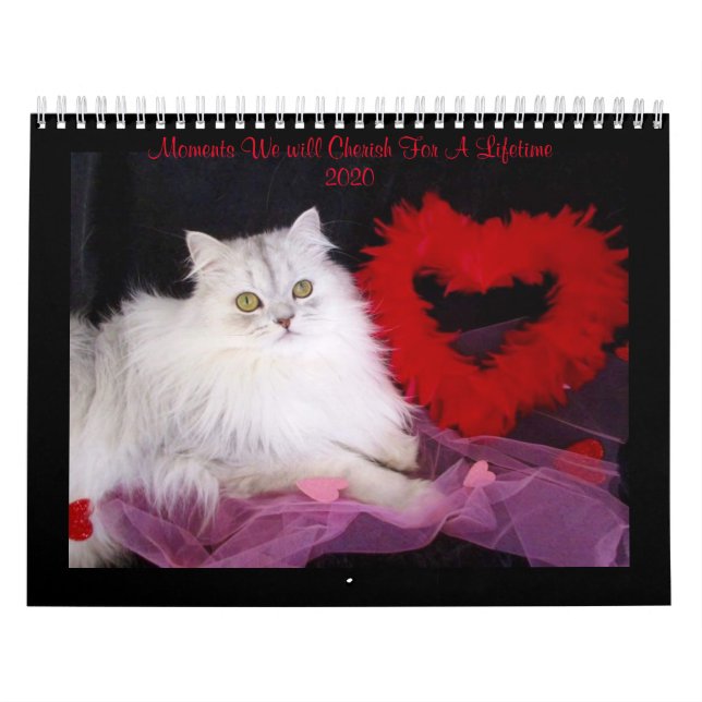 Kalender für besondere Momente von iCatz (Titelbild)