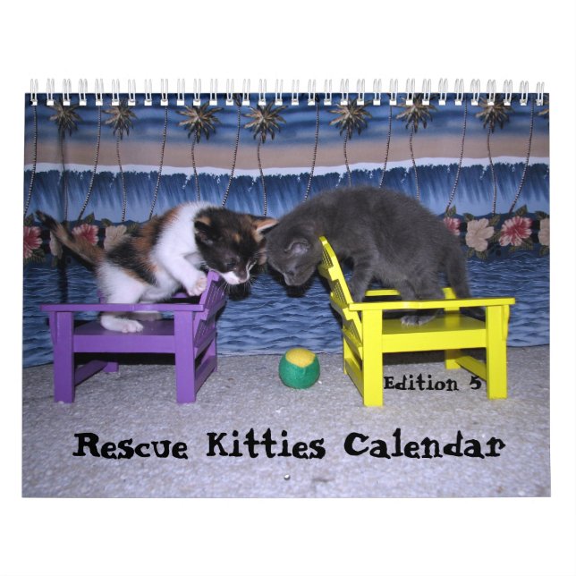 Kalender für die Rettung von Katzen - Ausgabe 5 (Titelbild)