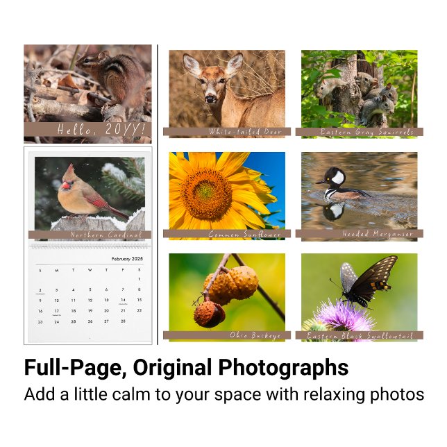 Kalender für Naturfotografie im Mittleren Westen (Von Creator hochgeladen)