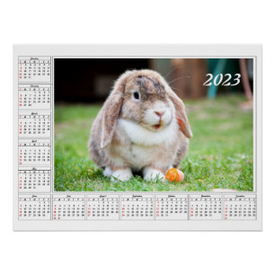 Kalender für Niedliches Hasengebäck 2023 Poster