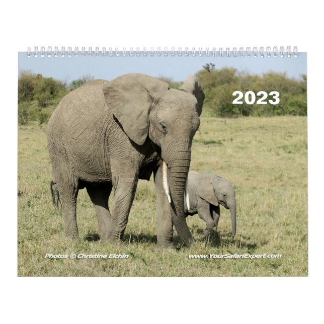 Kalender für ostafrikanische Tiere (zwei Seiten) (Titelbild)