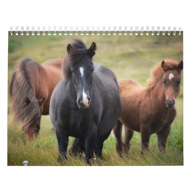 Kalender für Pferdeliebhaber (Titelbild)