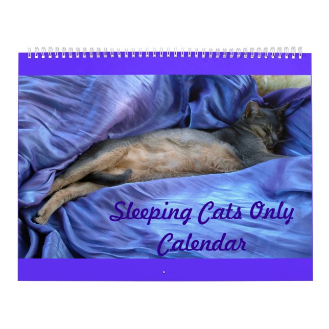 Kalender für schlafende abessinische Katzen - extr (Titelbild)