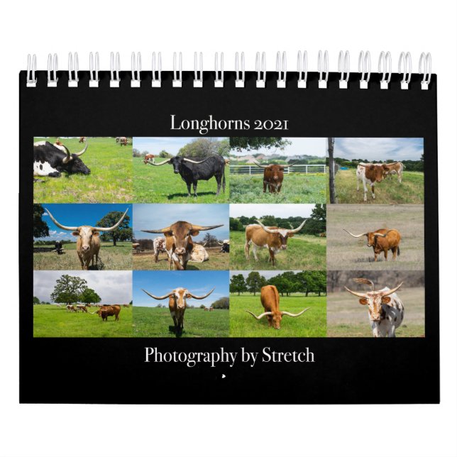 Kalender für Viehfotografie (Titelbild)