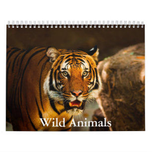 Kalender für wilde Tiere