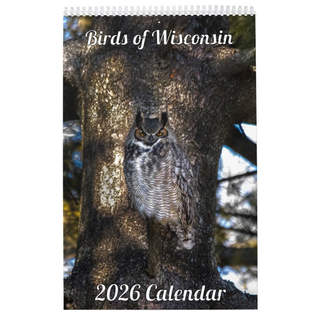 Kalender für Wisconsin-Vögel 2026 (Titelbild)