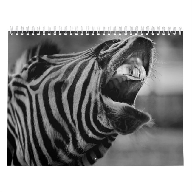 Kalender für Zebra (Titelbild)