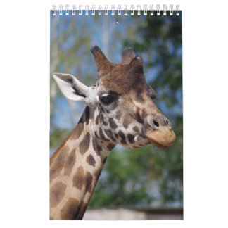 Kalender-Giraffen Kalender