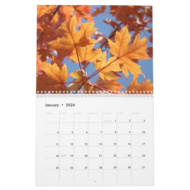 KALENDER-HERBST Kalender FALL-KUNST Blätter (Jan 2026)