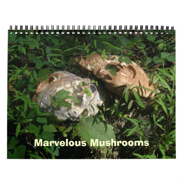 Kalender - Herrliche Pilze (Titelbild)