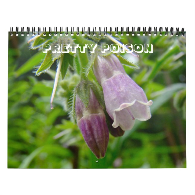 Kalender - Hübsches Gift (Titelbild)