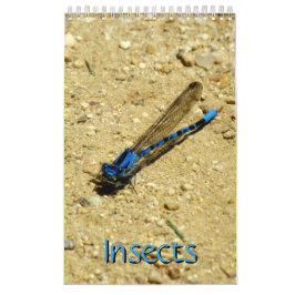 Kalender - Insects vol.2