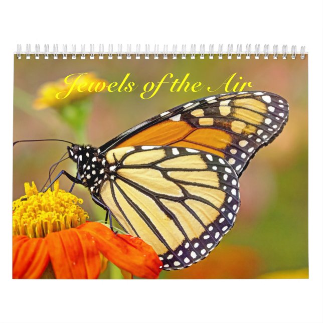 Kalender - Juwelen der Luft (Titelbild)