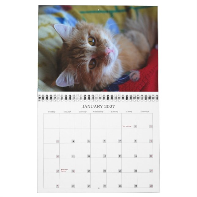 Kalender-Katze 2012 Kalender (Jan 2027)