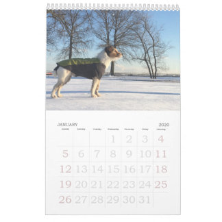 Kalender Loki 2020