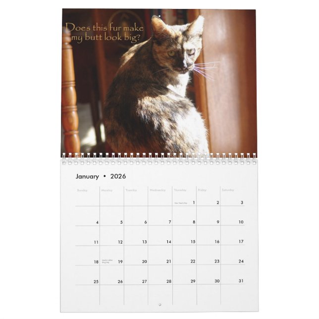 Kalender LOL Katzen-2008 (Jan 2026)