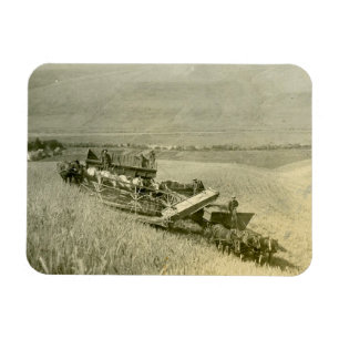 Kalender Magnet