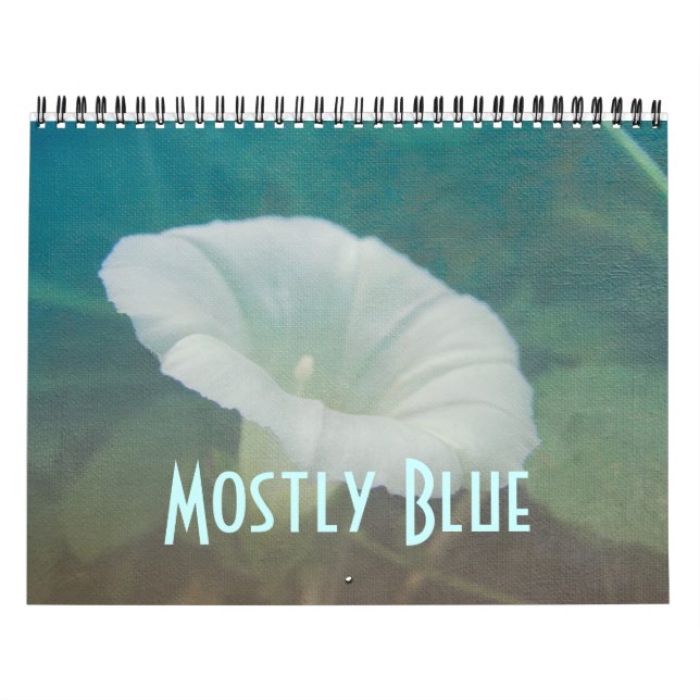 Kalender - meistens blau (Titelbild)
