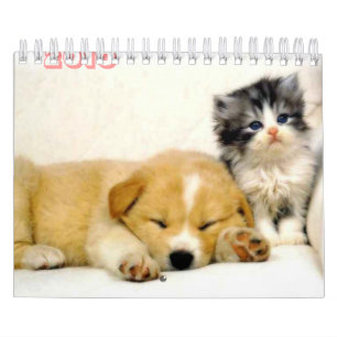 Kalender mit 2010 Tieren
