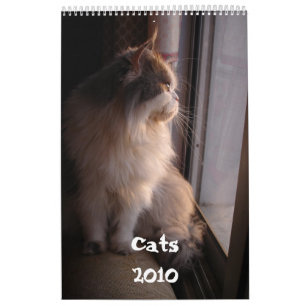 Kalender mit den Katzen - besonders angefertigt