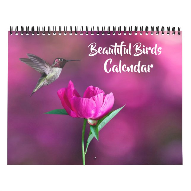 Kalender mit mittelgroßen schönen Vögeln (Titelbild)