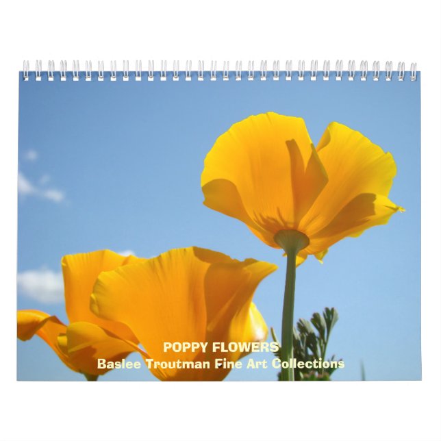 KALENDER Mohnblumen-Kalender MOHNBLUME Blumen (Titelbild)