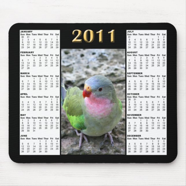 Kalender Mousepad Prinzessin-Parrot 2011 (Vorne)