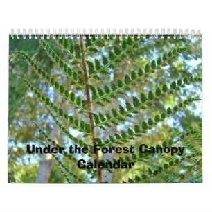 Kalender Natur unter dem Blätterdach des Waldes Ka