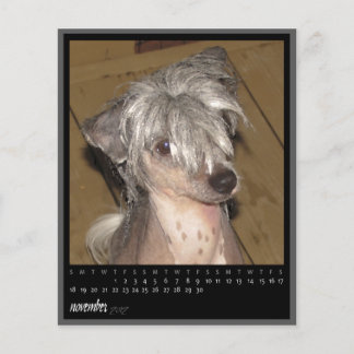 Kalender November 2012