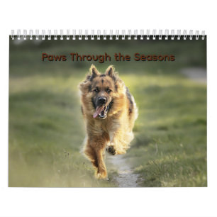 Kalender 'Paws Through the Seasons'