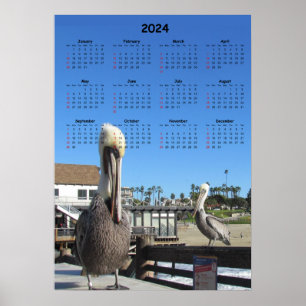 Kalender - Pelikane auf Pier 2024 Poster