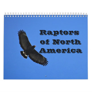 Kalender - Raptoren (Greifvögel) von Nordamerika