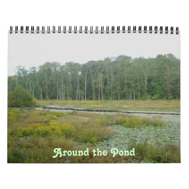 Kalender - Rund um den Teich (Titelbild)